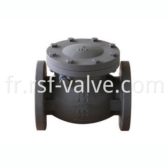 Mss Sp 71 Swing Check Valve